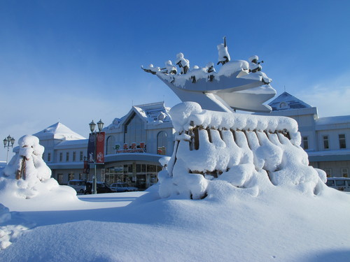 猛吹雪の翌朝の散歩　１２月２３日・・・１３_c0075701_1752859.jpg