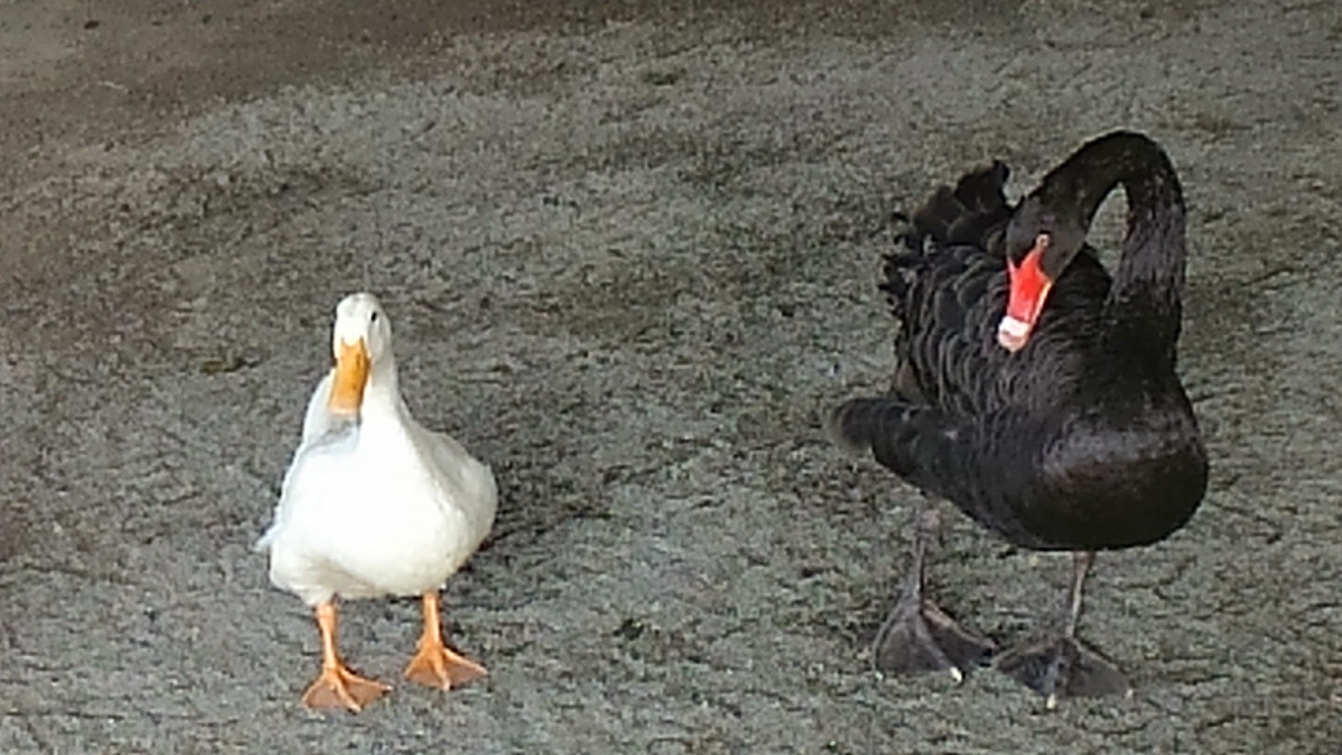 a0224502_1539369.jpg