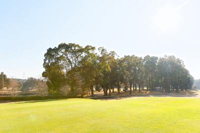f0274403_10522399.gif
