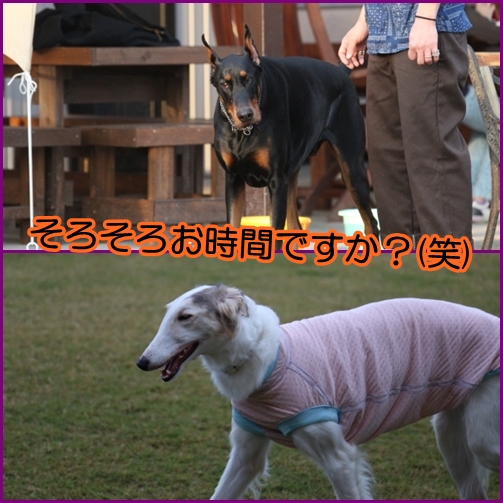 e0100007_2232399.jpg