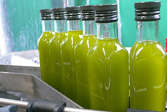 c0188613_1740737.jpg
