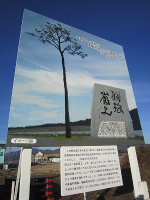 一本松_c0237313_1663191.jpg