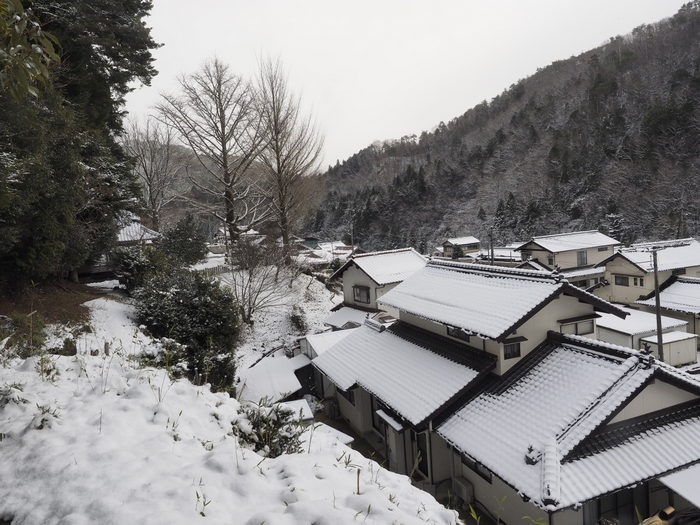 客人神社の西のたんぼ風景_c0116915_0153343.jpg