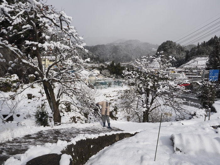 家の周辺の雪景色_c0116915_074745.jpg