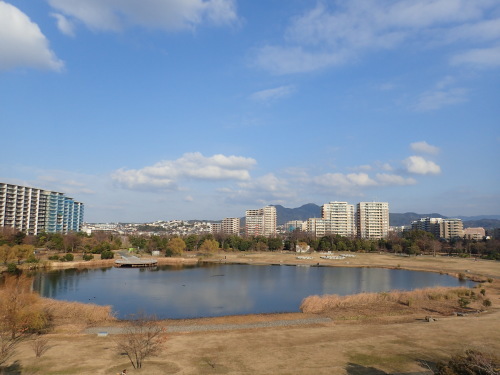 a0315918_18123614.jpg