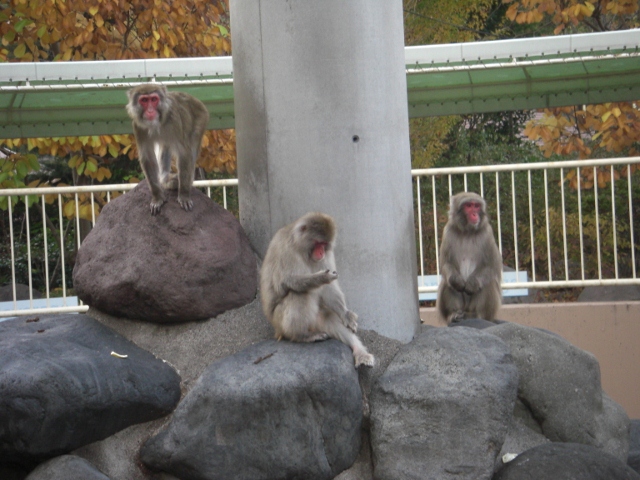 c0074721_15321555.jpg
