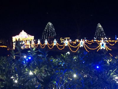 植物園Xmasイルミネーション_c0223630_21152848.jpg