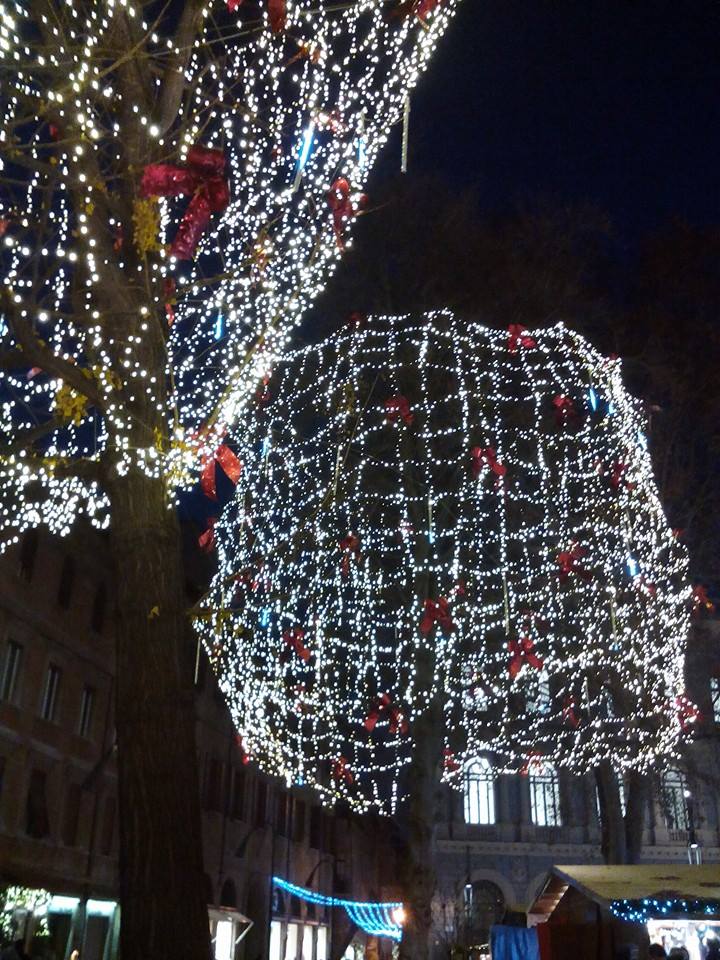 e0203331_2313573.jpg