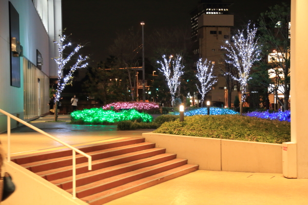 f0229832_982696.jpg