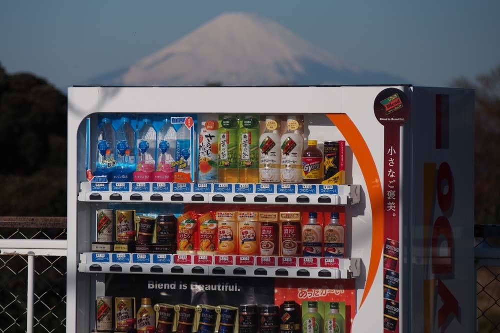 三浦大根と富士山_e0108233_23125805.jpg