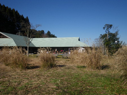 a0123836_16304848.jpg