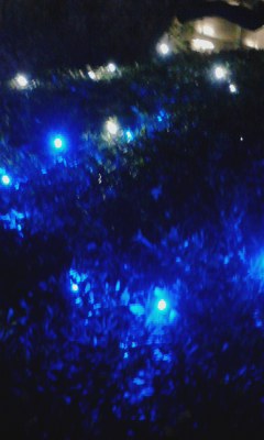 c0289636_23291574.jpg