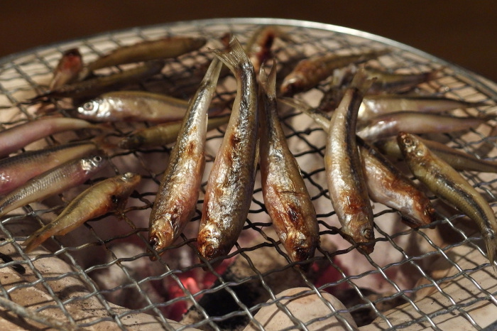 貴重魚で一杯 <第343巻>_b0340837_18080716.jpg
