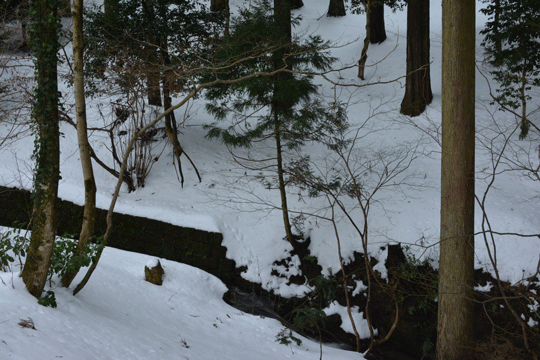 c0093046_8233924.gif