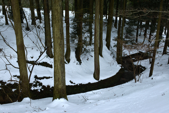 c0093046_8235551.gif