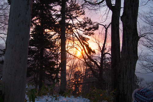 e0105954_1243910.jpg