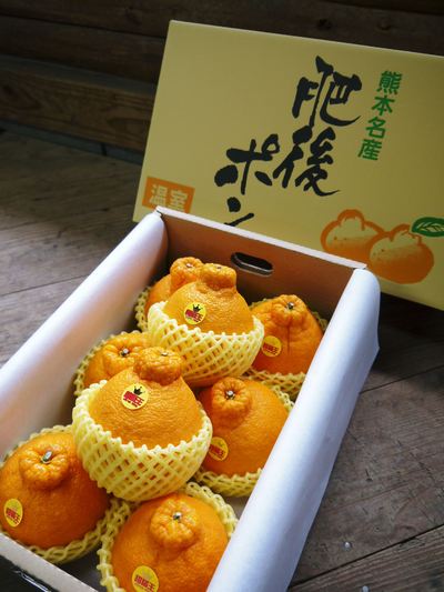 甘熟イチジク イチジクの落葉2014_a0254656_18311890.jpg