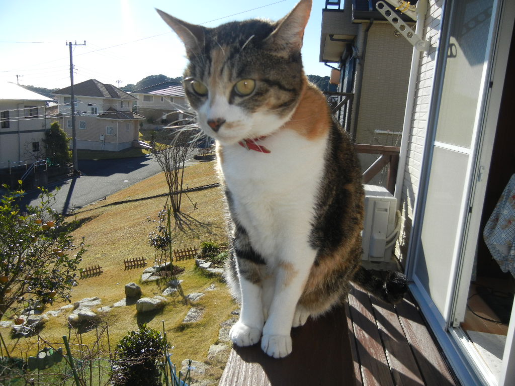 ’14,12,22(月)ウクレレを水彩画で~!_f0060461_1052399.jpg