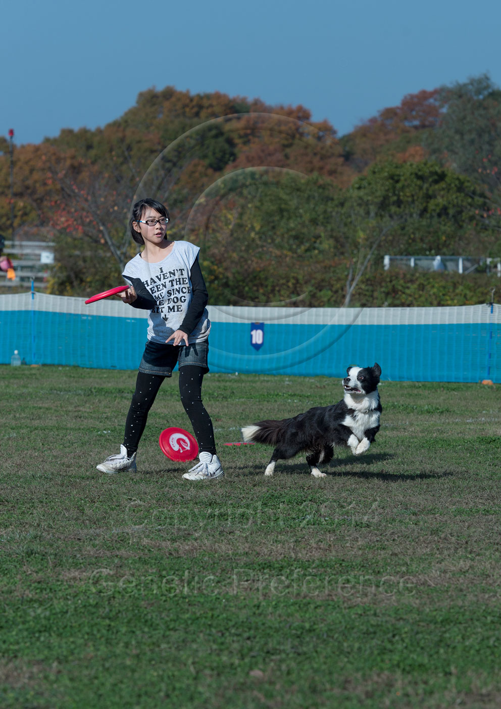 K9ディスクジャパン WestDiv. GAME20th 神戸農業公園2014 Vol.16_a0111162_20244840.jpg