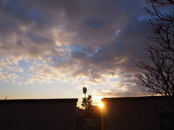 b0194267_170596.jpg