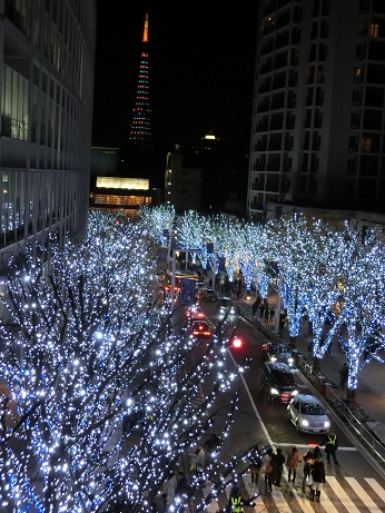 イルミネーションの１２月　東京_a0157268_2371848.jpg