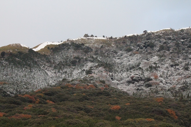 平尾台天狗岩／冬景色 2014年12月22日_d0163575_1453485.jpg