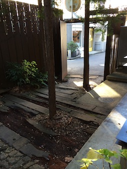 和精油のこれから!セミナーでした_a0191183_9543915.jpg