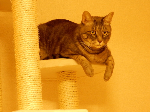 c0340786_14041548.jpg