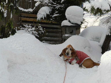 f0205887_19503415.gif