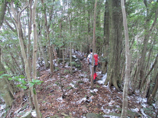 12/23　多良（大モミ～中岳～金泉寺）_d0326888_2016257.jpg