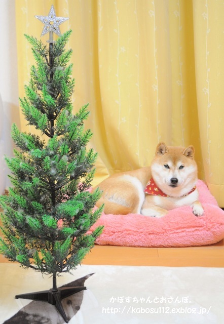 クリスマスツリー_a0126590_01275868.jpg