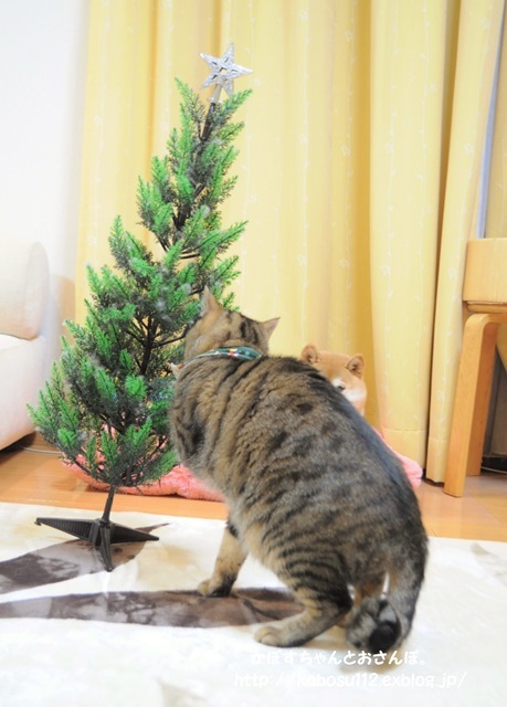 クリスマスツリー_a0126590_01280790.jpg