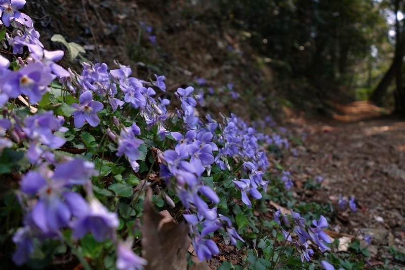 b0255992_15524727.jpg