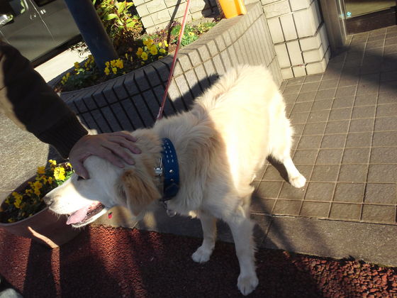 仮称 晴くん_f0242002_1391875.jpg