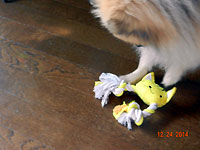 e0118904_15194217.jpg