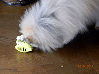e0118904_1520211.jpg