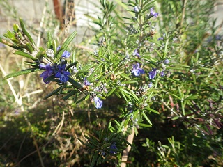 c0280206_16827.jpg