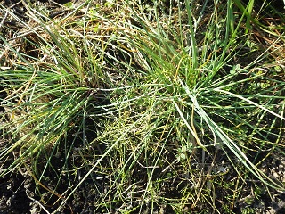 c0280206_18987.jpg