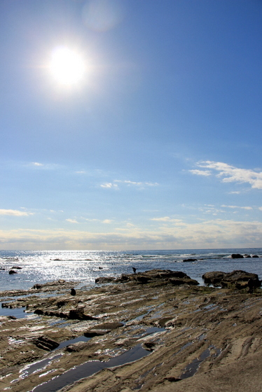 a0284809_22551671.jpg