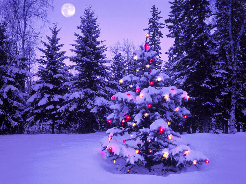 メリークリスマス^^_e0243413_16331146.jpg
