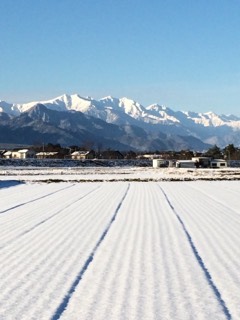 森のじいじ 安曇野通信_c0047814_9402223.jpg