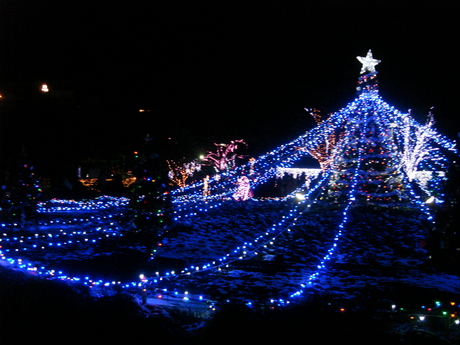 d0250123_86156.jpg