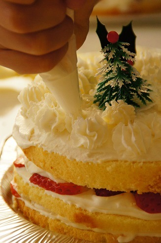 クリスマスケーキ2 ~12月~_c0235725_21244830.jpg