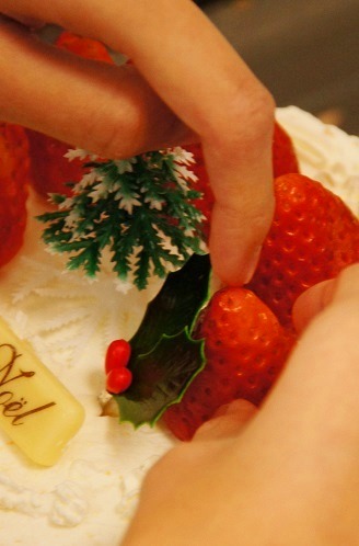 クリスマスケーキ2 ~12月~_c0235725_21305225.jpg