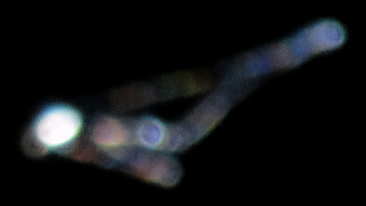 c0331825_13434546.jpg