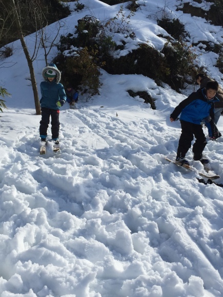 /\'\'\'\冬の里山を探検しよう!! 12月23日(祝・火)_e0061225_15043102.jpg
