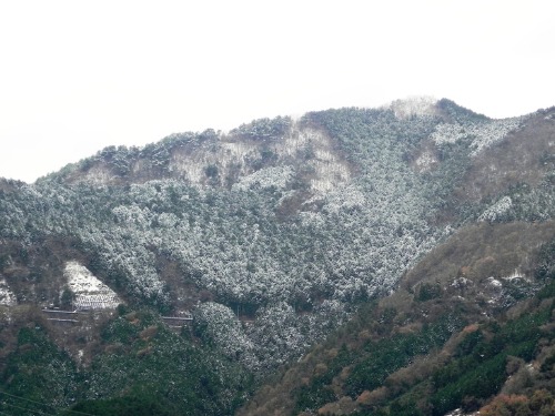 f0213825_848783.jpg