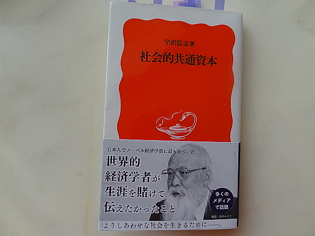 すべての人間の魂の自立をめざす経済学が熱い 宇沢弘文 社会的共通資本 梟通信 ホンの戯言