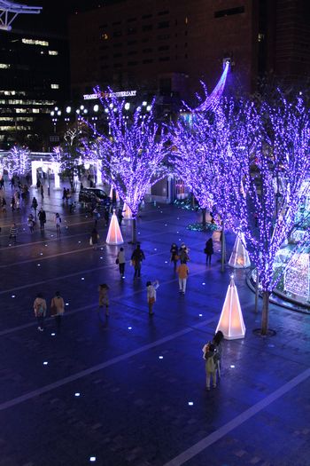 c0148238_11442070.jpg