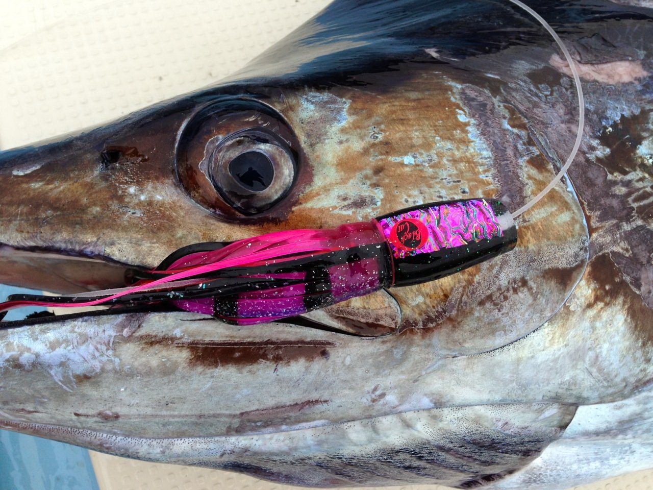 2014 フォト ピックアップ!【カジキ・マグロトローリング】_f0009039_12082749.jpg